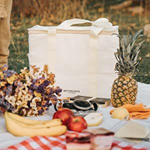 Cooler Bag For Frozen Cold Hot Food And Drinks - Insulated Bag For Beach, Picnic, Grocery Shopping Bags