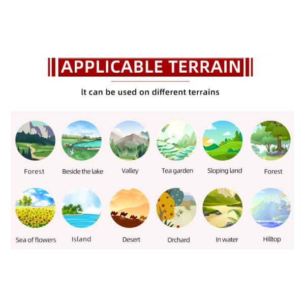 Ознакомьтесь с лучшим из обоих миров с Apple Cabin Hotel Restaurant и Store в одном