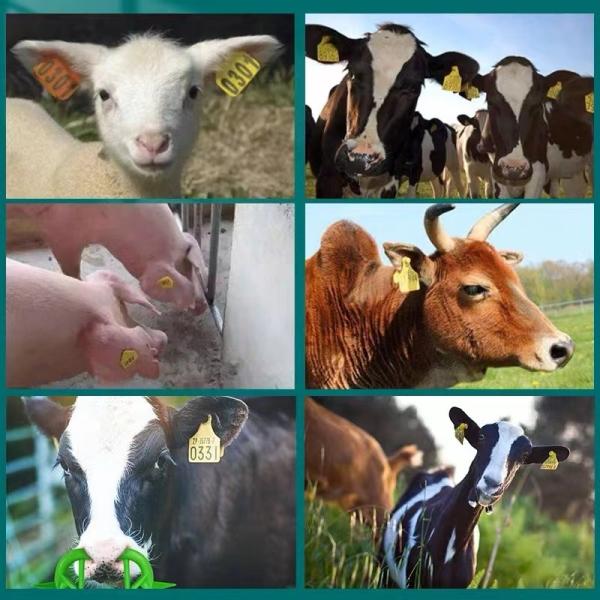 Aluminum Alloy Livestock ID Tags Plier Fixing Animal Tags Hydraulic Plier