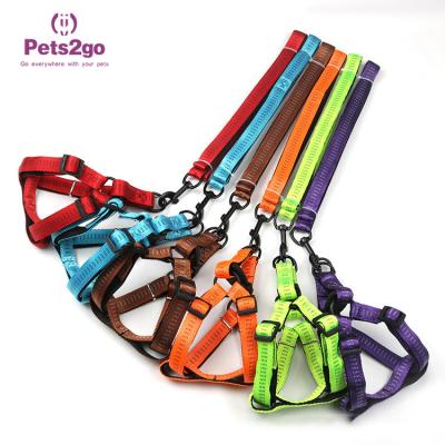 Colares armazenados de nylon do treinamento do animal de estimação do cão do projeto do Oem