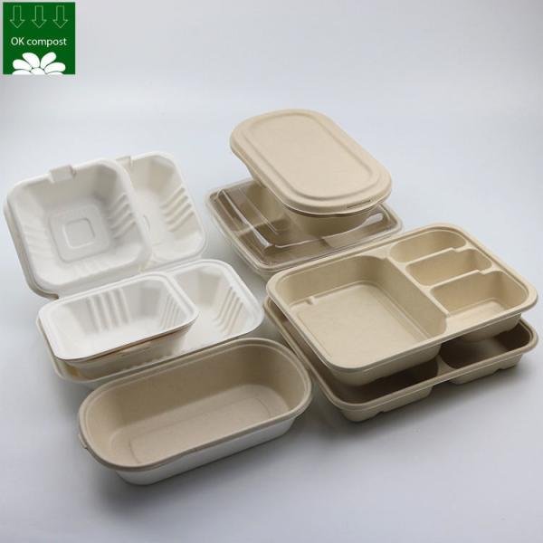 Custom Biodegradable Sugarcane Bagasse Pulp Fiber Fast Food Packing Paper Box Bio Degradable Takeaway To Go Container