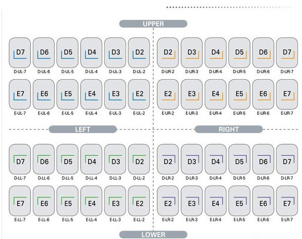 Stainless Steel Orthodontic Dental Lab Equipment Primary Molar Kids Crown Refill Kit