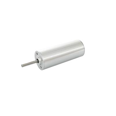 Moteur électrique sans balai de 12 mm à capteur 6.5W 25310 tr/min personnalisable pour pompes médicales