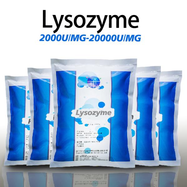 Conservation des aliments Poudre de lysozyme Enzyme lysozyme soluble dans l' eau