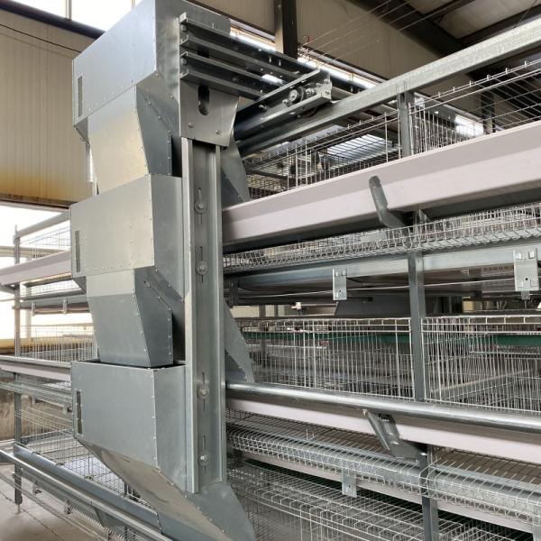 Egg Chicken Poultry Farm 3 Tiers 4 Tiers H Type Automatic Battery System Chicken Layer Cage