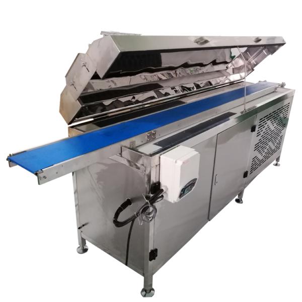 Small Chocolate Enrober Machine for Pet Food Coating