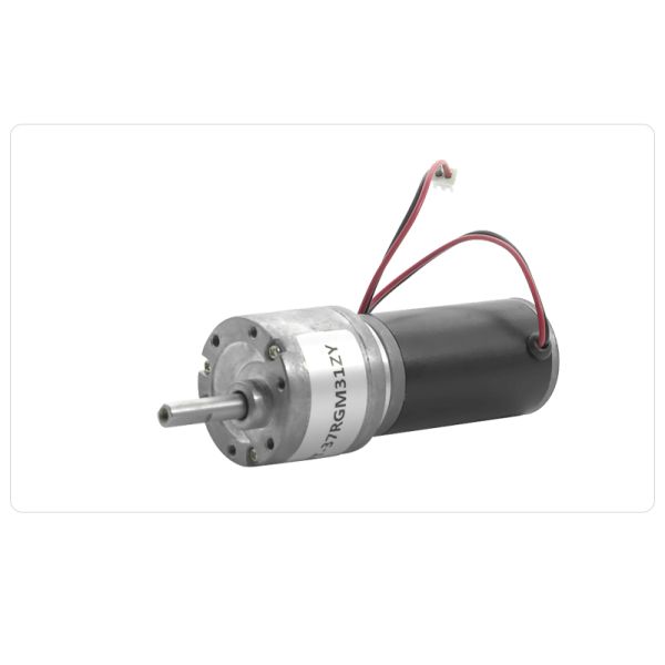 FT-37RGM31ZY DC3-24V Spur Gear Carbon Brushed  Motor