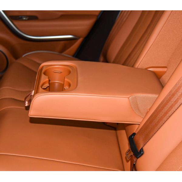 Седан высокой эффективности четырехколесного привода ORA Lightningmao 2022 600km электрический