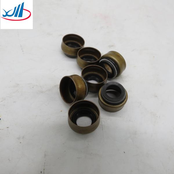Iron Material Engine Valve Oil Seal 4003966