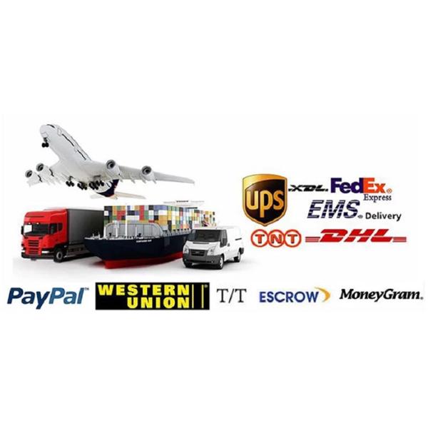 24 Roller Electric Shiatsu Massage Chair ROHS Real Relax LCD AI