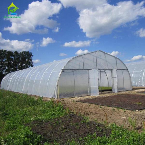 Commercial Plastic PE Film Seedling Poly Tunnel Greenhouse For Tomato Growing