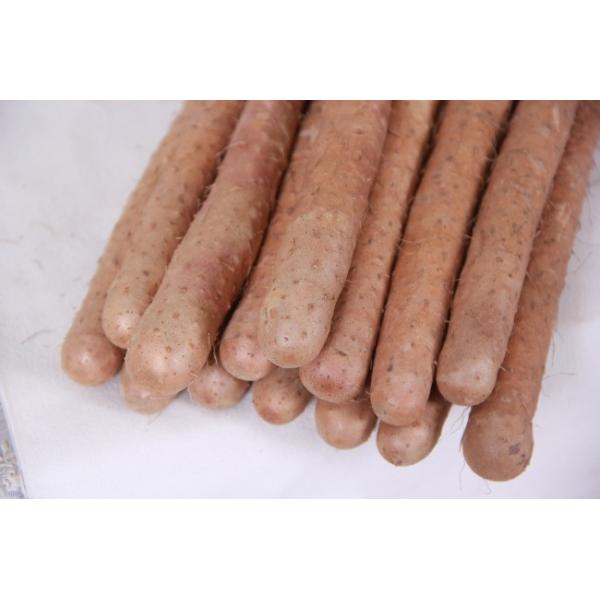 100% Natural Diosgenine Wild Yam Herb Extract  Diosgenine powder