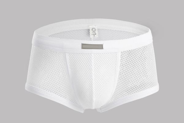 Mens Sexy Boxer Shorts Xl See Through Mesh Waistband Briefs Club Wear Customized Waistband Boxer Briefs