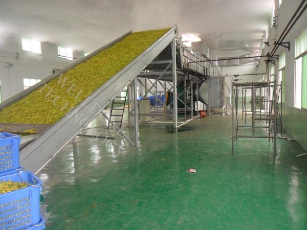 Fruto/secador vegetal da correia transportadora com dispositivo da remoção do ferro do magnetismo