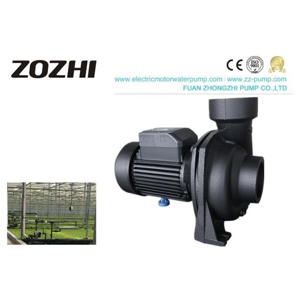 220V真鍮のインペラー0.8hpの単一フェーズの誘導電動機