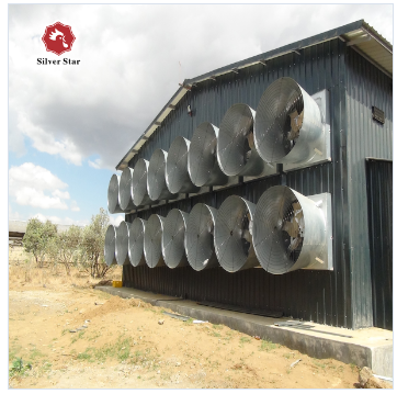 192 курицы / набор H-типа батарея Куриная клетка Куриная клетка автоматическая