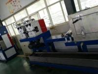 50HZ a réutilisé la bande de courroie de paquet faisant la chaîne de production de bande de courroie d'ANIMAL FAMILIER de la machine pp