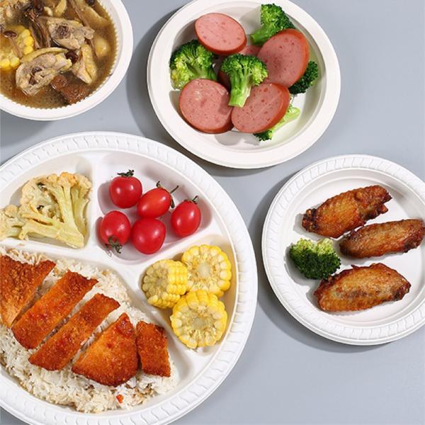 9in 10in Round Cornstarch Disposable Plates Biodegradable Round Plate Tableware