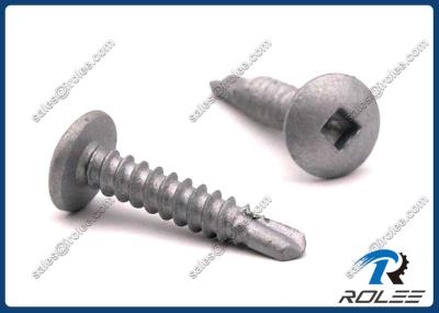 Disgo Plated 410 Stainless Steel Square Drive Truss Head Self Drilling Screws