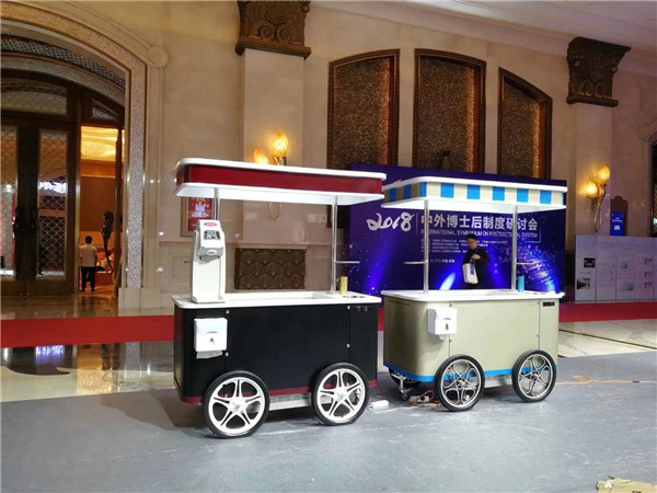OEM CE Approved 4 Wheels Cargo Bike with Freezer Food Vending Carts for Sale Ice Cream Electric Tricycle