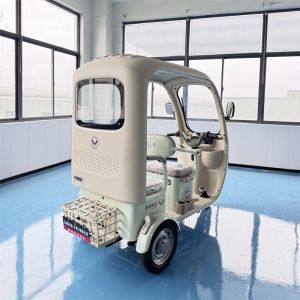 Canopy Electric Passenger Tricycle, All-Weather 1+1 Seater Commuter Scooter with