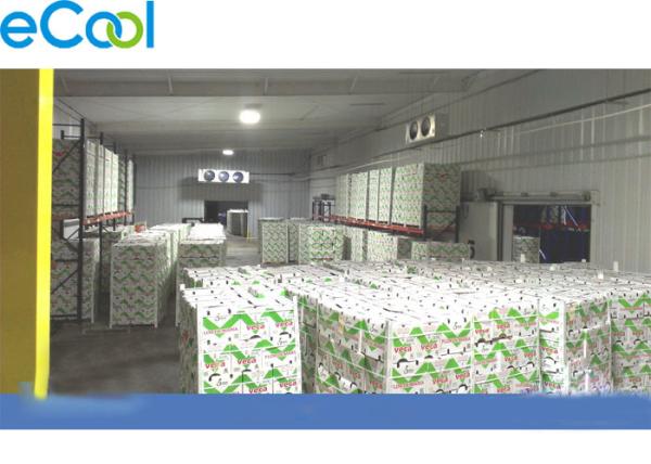 Insulated PUR Panel Cold Room Storage Warehouse -18C ~ -20C For Plastic Packed Frozen Food