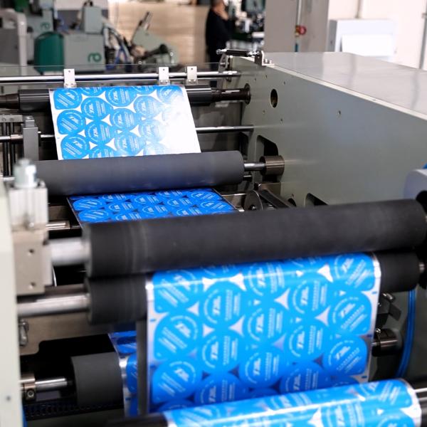 Automatic Cup Lid Die Cutting Machine CC450-S Features Multi-Axis Servo Control 450 Strokes / Min