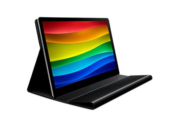Contrast Ratio 1000:1 Color Gamut 72% USB C Powered 13.3 Inch Portable Monitor