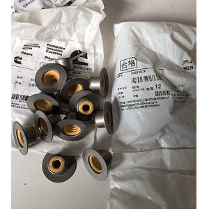 Cummins 6D107 Valve oil seal 3955393