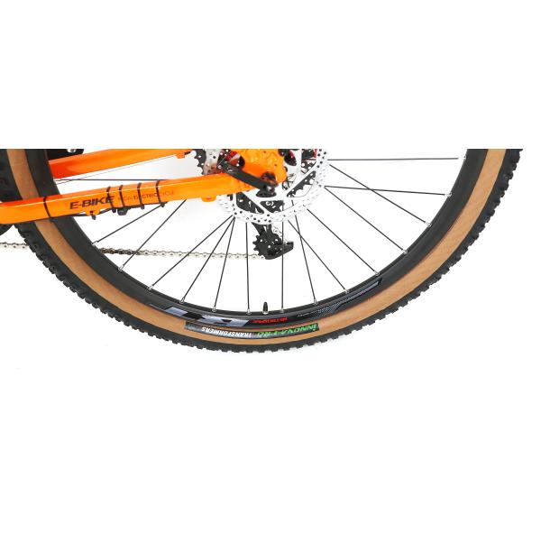 Single Speed Alloy Frame Mountain Bike 48V Lithium Battery Electric 750W Mid Motor