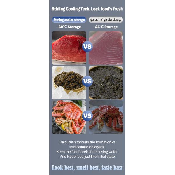 Репорт 12В/24В ДиС 25L Ультра низкотемпературный домашний склад Кампинговый портативный морозильник