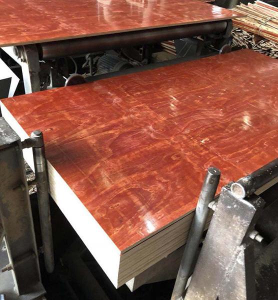 Waterproof Red Film Faced Plywood , Melamine Laminated Plywood 2 Time Hot Press