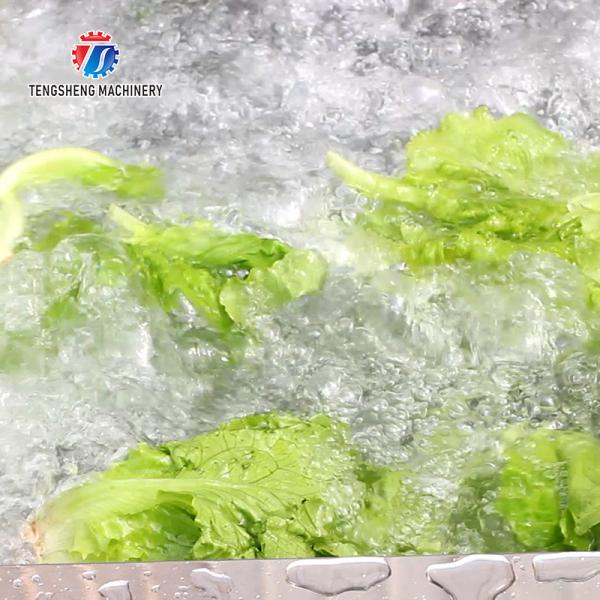 2.6KW Commercial vegetable washing machine Vegetable bubble cleaning machine vegetable cleaning equipment