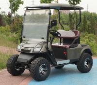 Véhicule utilitaire de 2 places Voiture de golf 30 km/h Automatique léger électrique à batterie