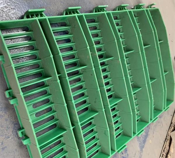 Plástico forte dos suínos do equipamento agrícola do porco que pavimenta muitos resistência de corrosão da cor