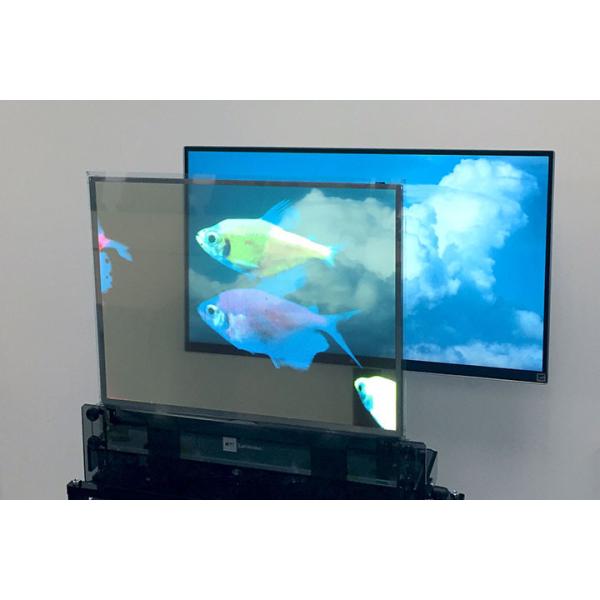 High Brightness Full Color OLED Transparent Display with Customizable Size