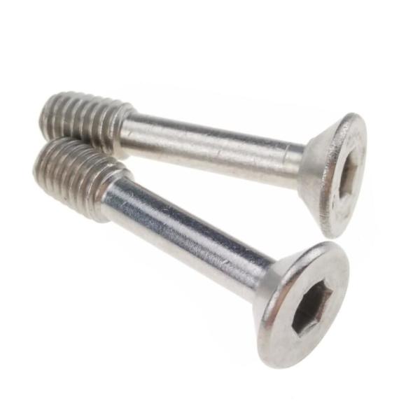 Flat Head Grade Stainless Steel Captive Screws Hex Socket M6 304