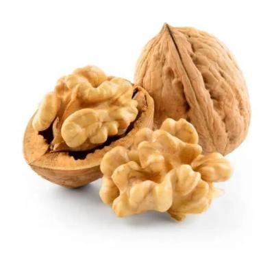 Hot selling premium walnuts and walnut kernels both support customized packaging Amazon’s best-selling products