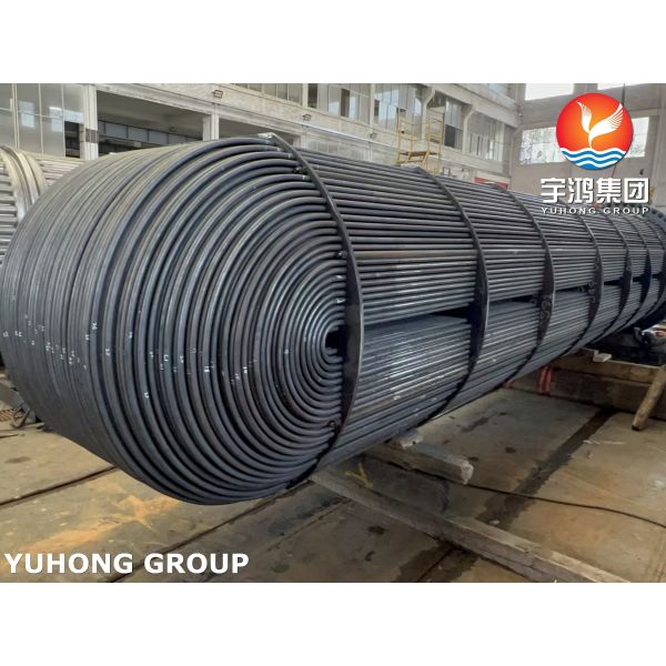 ASME SA179 Carbon Steel Exchanger Tube Bundle with SA266 Tubesheet