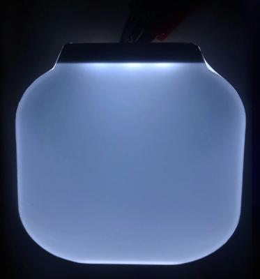 Customized Special Shaped White LED Backlights For LCD Display