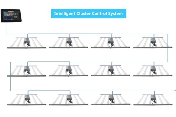ETL Certified 1000W LED Grow Lights 2.8umol/J Dimmable For Plant Grow