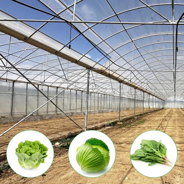 Baolida Polycarbonate Greenhouse Metal Frame Serre Agricole Agricultural Greenhouse Film