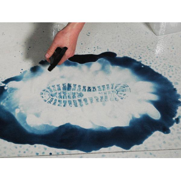 G031 BTXJ-VI Amido black 10B latent blood footprint developer