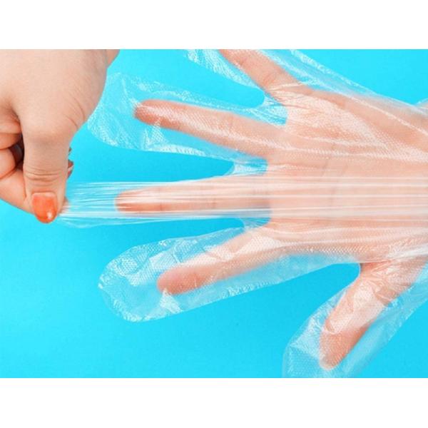 Disposable Clear Polythene PE Gloves / Plastic Food Safe Cleaning Glove For Cooking