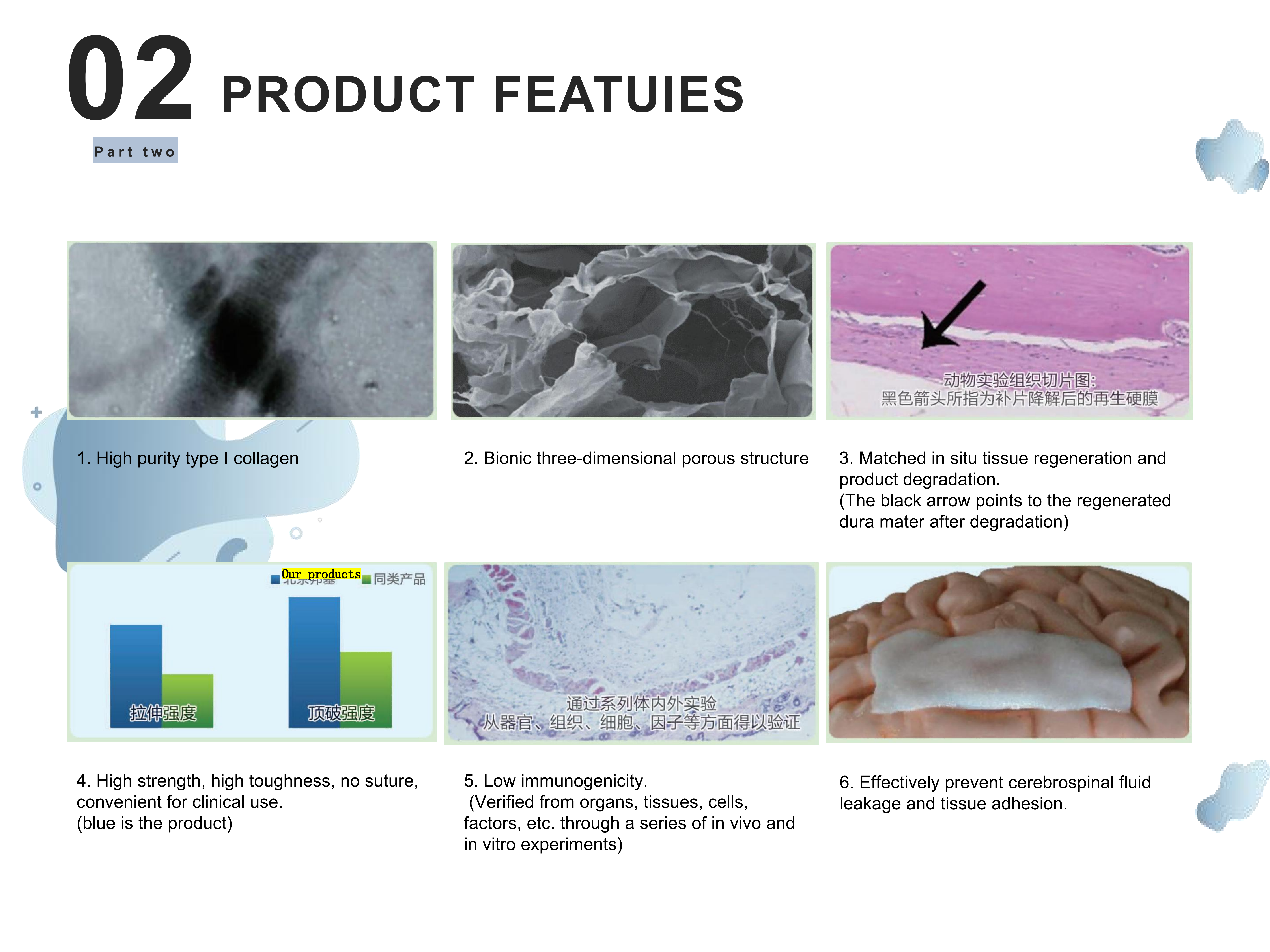 Dura Substitute Non Sutured Tissue Regeneration