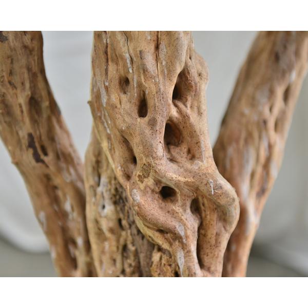 300CM 10FT Artificial Olive Tree Indoor Home Hotel Indoors Restaurant Cafe Restaurants Hotels Interior Olive Tree