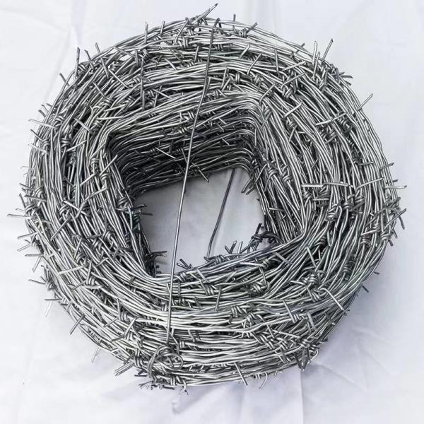 Rope Mesh Electro Galvanized Barbed Wire 50 KG Per Roll for Protection 20-500m Length