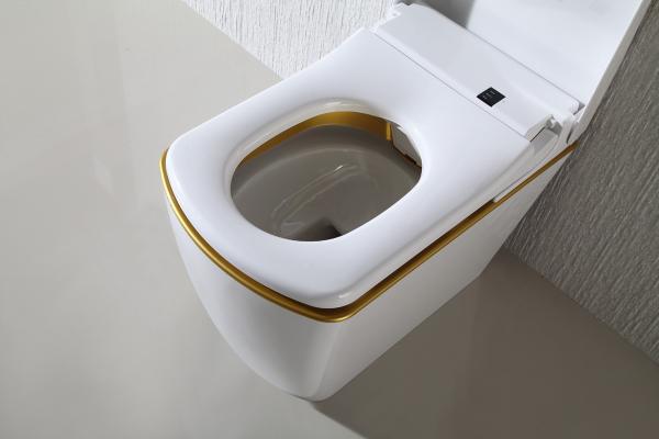 110V / 220V Electric Smart Toilet Smart Bidet Toilet Automatic Deodorization intelligent toilet
