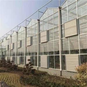 Tomate Pepino Alface Sistema de Estufas Venlo Agricultura Com Ventilador de