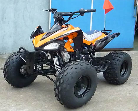 Электрическая молодость начала участвуя в гонке батарея заднего тарельчатого тормоза 12В 4АХ тормоза барабанчика АТВ передняя